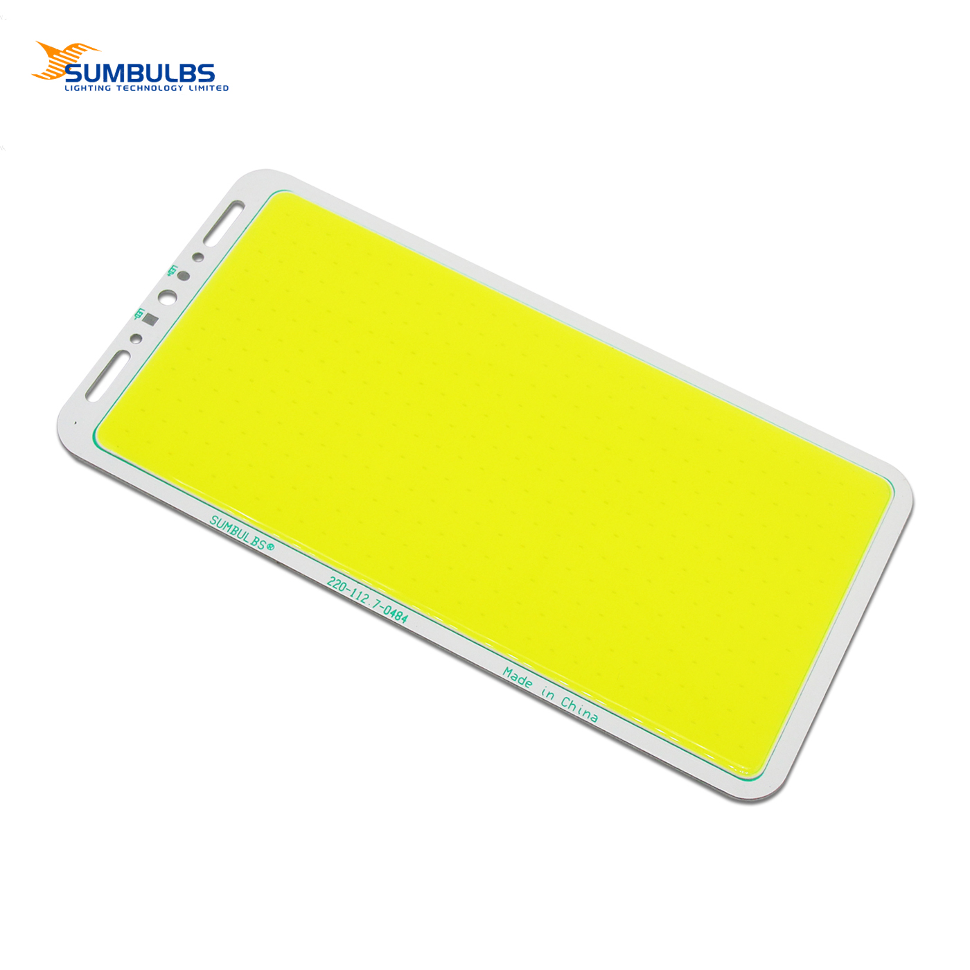 COB LED 220113