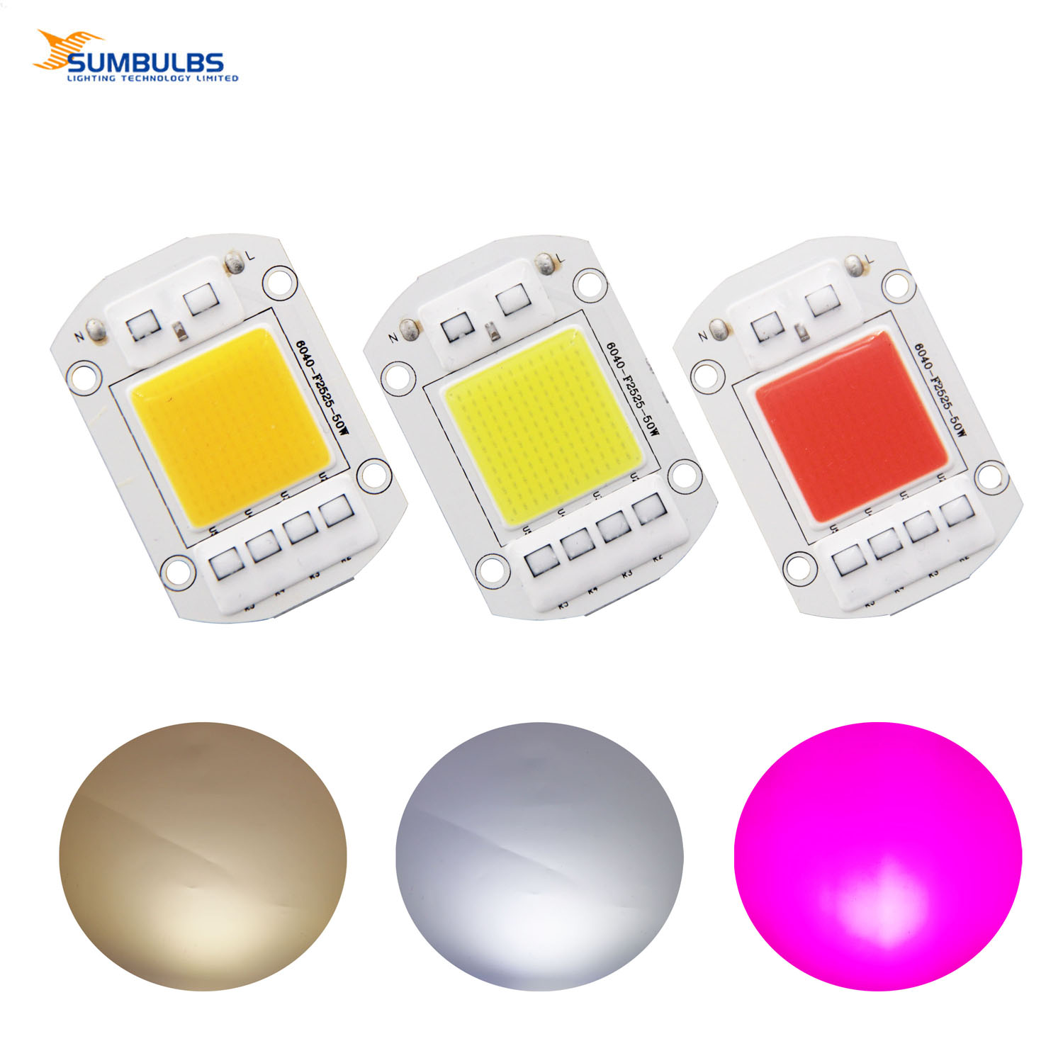 COB LED 6040